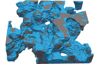 Cryo-imaging lifts the lid on fuel cell catalyst layers