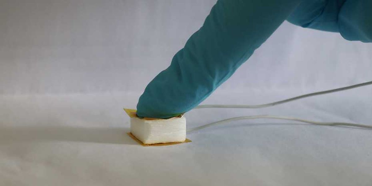 Even a little pressure can generate usable energy in the wooden sponge. (Photograph: ACS Nano / Empa)