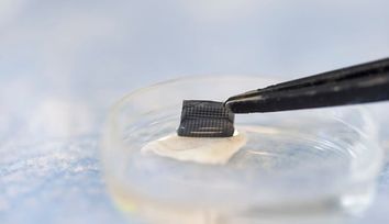 At-home melanoma testing: Skin patch test works in mice
