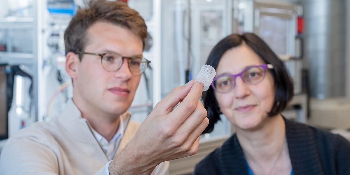 3D printed, bioinspired heart valves