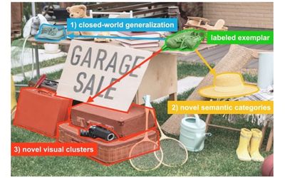 AI system discovers visual categories while adapting to new contexts
