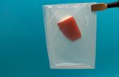 Leaf-inspired design brings bioplastics to the big leagues