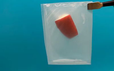 Leaf-inspired design brings bioplastics to the big leagues