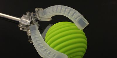 Harvard researchers have developed a platform for creating soft robots with embedded sensors that can sense movement, pressure, touch, and temperature. (Image courtesy of Ryan L. Truby/Harvard University)