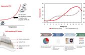 From Experiment to Final Print: Understanding Self-Regulation PTC Heaters