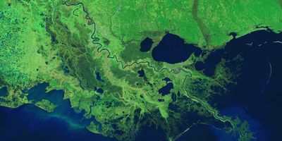 A satellite image of the Mississippi River Delta with land shown in bright green and water shown in dark blue. Credit: NASA Earth Observatory image by Michael Taylor and Adam Voiland, using Landsat data from the U.S. Geological Survey
