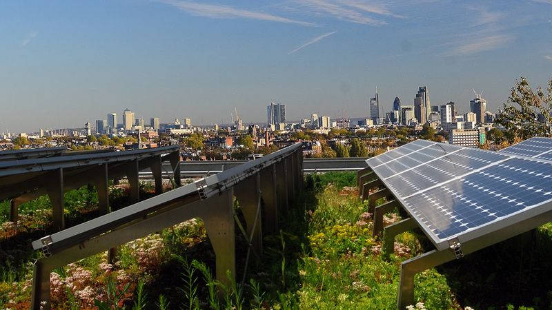 Green Roofs London