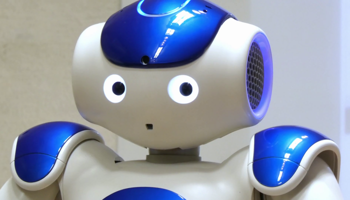 Programmable Humanoïd Robot NAO V6