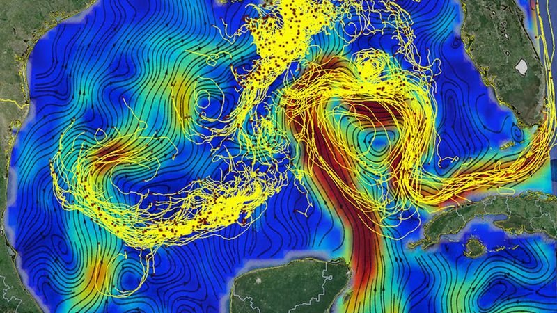 Computer scientists at MIT joined forces with oceanographers to develop a machine-learning model that incorporates knowledge from fluid dynamics to generate more accurate predictions about the velocities of ocean currents. This figure shows drifting buoy trajectories in the Gulf of Mexico superimposed on surface currents. The red dots mark the buoys’ positions on March 9, 2016, and the tails are 14 days long. Image: Edward Ryan and Tamay Özgökmen from the University of Miami.