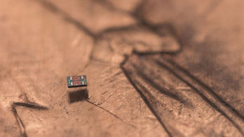 World's smallest programmable robots perform tasks