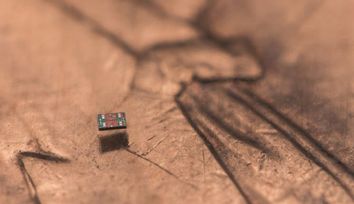 World's smallest programmable robots perform tasks