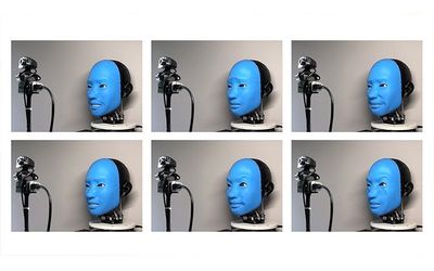 The Robot Smiled Back