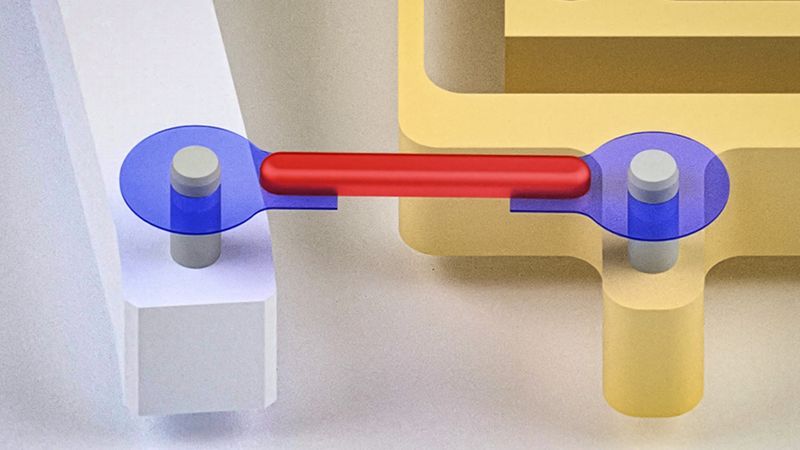 Researchers have developed artificial tendons for muscle-powered robots. They attached the rubber band-like tendons (blue) to either end of a small piece of lab-grown muscle (red), forming a “muscle-tendon unit.” Credit: Courtesy of the researchers; edited by MIT News