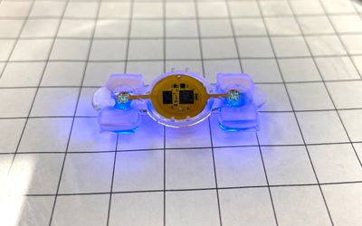 Microelectronics give researchers a remote control for biological robots