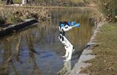 BirdBot, a 3D-printed bipedal robot, offers major efficiency gains through avian biomimicry