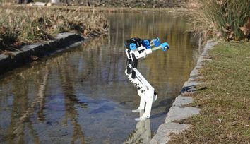 BirdBot, a 3D-printed bipedal robot, offers major efficiency gains through avian biomimicry