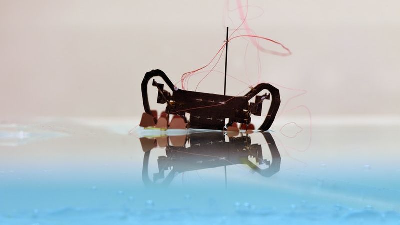 When HAMR needs to sink, its footpads emit a high voltage to break the water surface tension. This process is called electrowetting, which is the reduction of the contact angle between a material and the water surface under an applied voltage. This change of contact angle makes it easier for objects to break the water surface. (Credit: Yufeng Chen, Neel Doshi, and Benjamin Goldberg/Harvard University)