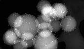 'Blinking' Crystals May Convert CO2 into Fuels