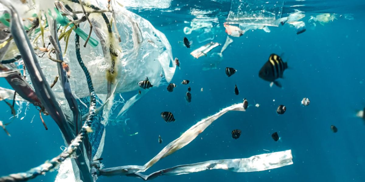 Plastic waste running from rivers to the seas is a growing problem, which will take a major clean-up to solve. Enter the AUVs.