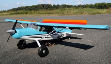 Bird wings inspire new approach to flight safety