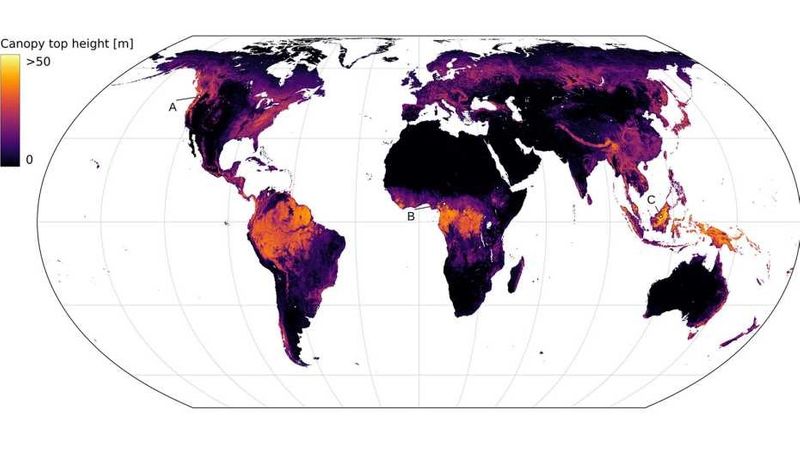 Researchers at ETH Zurich have developed a world map that for the first time uses machine learning to derive vegetation heights from satellite images in high resolution. (Image: EcoVision Lab)