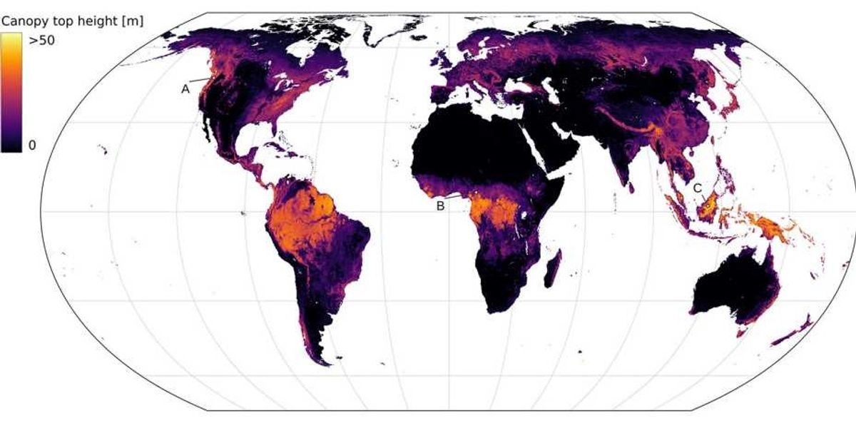 Researchers at ETH Zurich have developed a world map that for the first time uses machine learning to derive vegetation heights from satellite images in high resolution. (Image: EcoVision Lab)