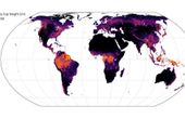 Neural network can read tree heights from satellite images