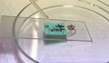 Waterproof coating is made from upcycled textile waste