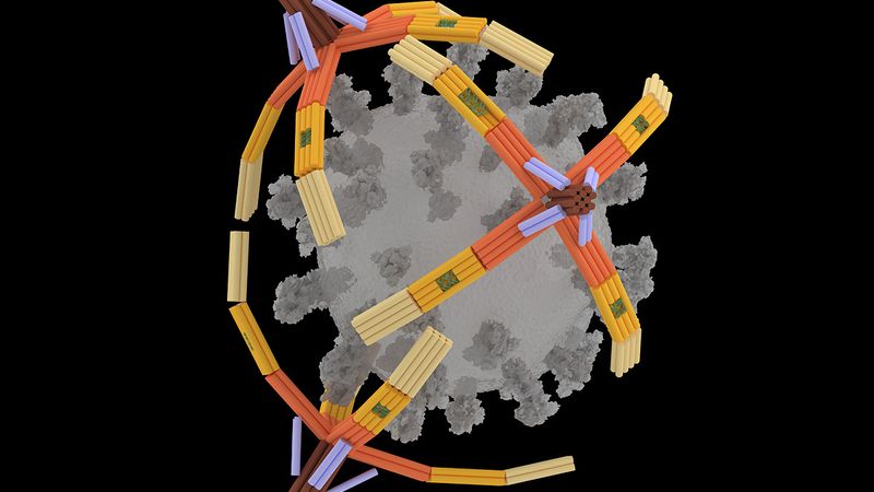 Illinois researchers developed a nanorobotic hand made of DNA that can grab viruses for detection or inhibition. In this artist’s rendering, three “NanoGripper” hands wrap around a COVID-19 virus. Image courtesy of Xing Wang