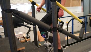 A prosthesis driven by the nervous system helps people with amputation walk naturally