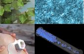 Printed Electronics: The Future is Thin, Flat, and Flexible