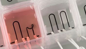 3D-printed heart-on-a-chip with integrated sensors
