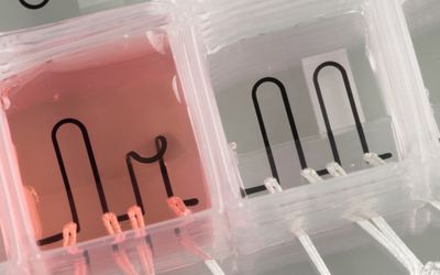 3D-printed heart-on-a-chip with integrated sensors