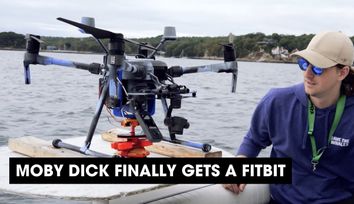 Podcast: Moby Dick Finally Gets a Fitbit