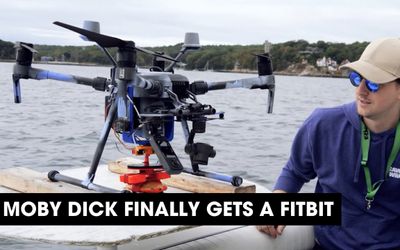 Podcast: Moby Dick Finally Gets a Fitbit