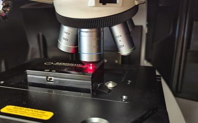 Researchers' New Composite Material Offers 10,000x Amplification of Raman Spectroscopy Signal