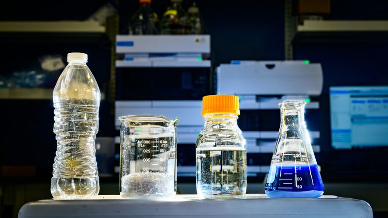 Researchers used microbes to convert plastic waste into pyruvate, an essential energy source for microbes that use it to generate other useful products. As a proof-of-concept experiment, they converted polyethylene terephthalate, or PET, from plastic bottles into the blue dye indigoidine. Photo by Fred Zwicky