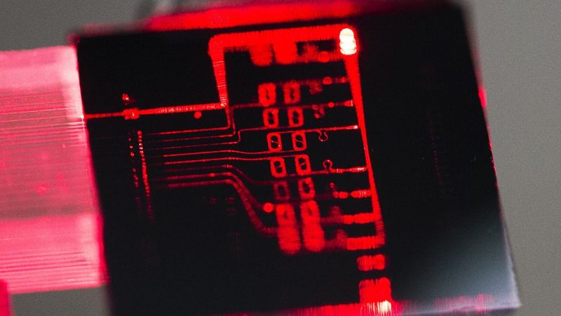 Image: Lionix