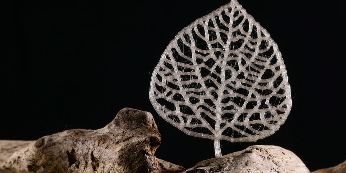 A 3D-printed “leaf” made with the new bioplastic. Credit: Alain Herzog (EPFL)