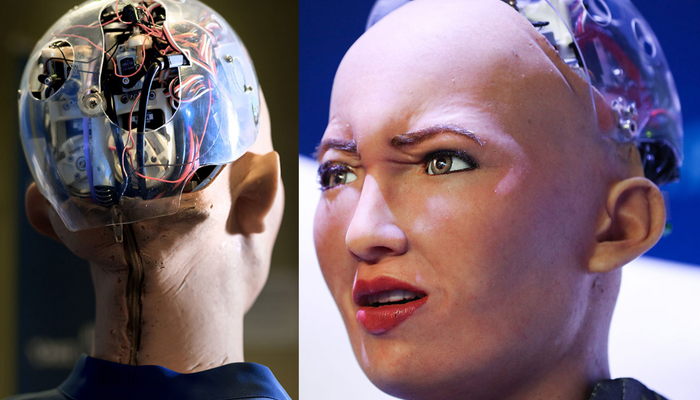 Scientists Develop Open-Source AI Humanoid Head Eva That, 50% OFF