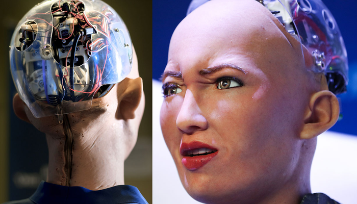 Sophia: A realistic humanoid robot