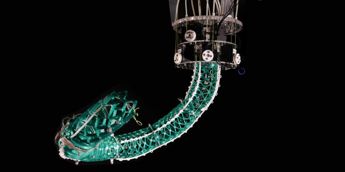 A soft, flexible robot safe for interaction with humans © 2023 EPFL/Alain Herzog - CC-BY-SA 4.0
