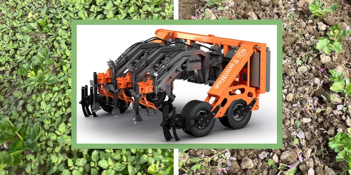 MIT alumnus-founded FarmWise uses hulking, autonomous robots that resemble tractors to preserve crops while snipping weeds, eliminating the need for herbicides. Courtesy of FarmWise