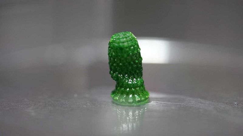 3D-printed "pineapple" with cyanobacteria growing inside after a development period of 60 days. The green colour comes from the chlorophyll of the photosynthetic bacteria.  (Image: Yifan Cui / ETH Zurich)