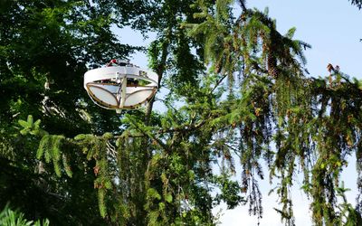 Special drone collects environmental DNA from trees