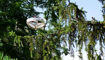 Special drone collects environmental DNA from trees