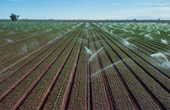 Smart Irrigation: Optimizing Water Use with PCBA-Driven Tech