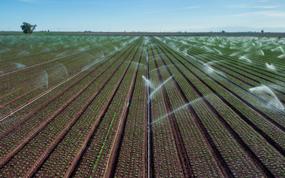 Smart Irrigation: Optimizing Water Use with PCBA-Driven Tech