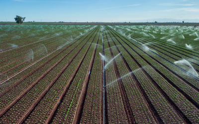 Smart Irrigation: Optimizing Water Use with PCBA-Driven Tech