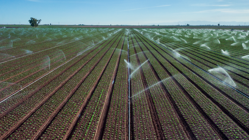 Smart irrigation at work 